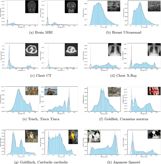 Figure 1 for Adversarial-Robust Transfer Learning for Medical Imaging via Domain Assimilation