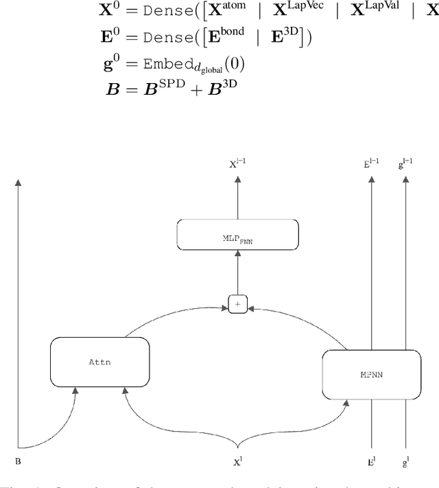 Figure 1 for Efficient Training of Transformers for Molecule Property Prediction on Small-scale Datasets