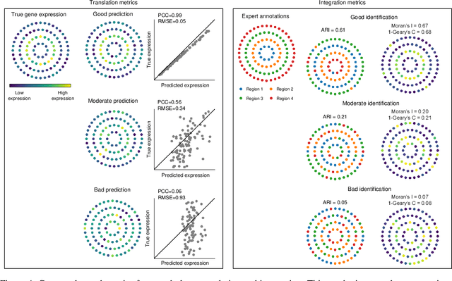 Figure 4 for What makes for good morphology representations for spatial omics?