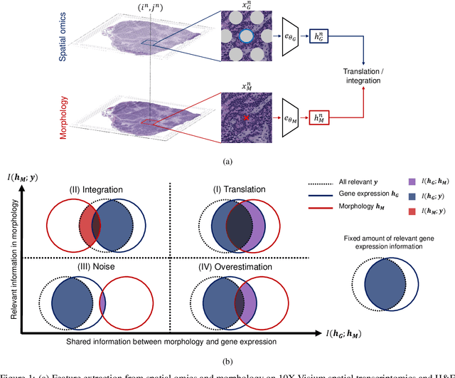 Figure 1 for What makes for good morphology representations for spatial omics?