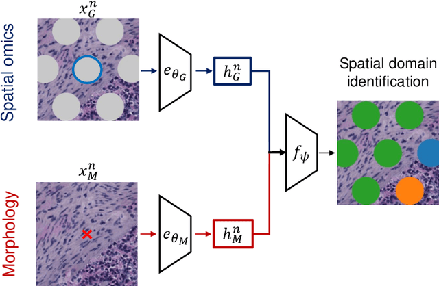 Figure 3 for What makes for good morphology representations for spatial omics?