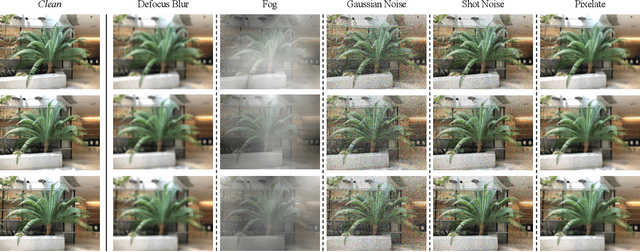 Figure 3 for Benchmarking Robustness in Neural Radiance Fields