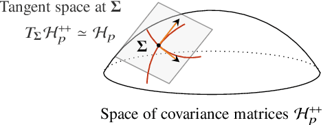 Figure 1 for The Fisher-Rao geometry of CES distributions