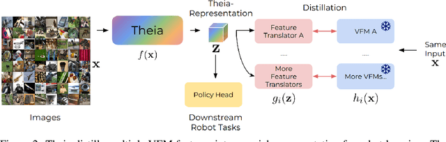 Figure 3 for Theia: Distilling Diverse Vision Foundation Models for Robot Learning