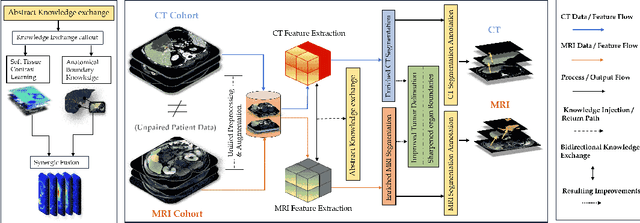 Figure 1 for A-QCF-Net: An Adaptive Quaternion Cross-Fusion Network for Multimodal Liver Tumor Segmentation from Unpaired Datasets