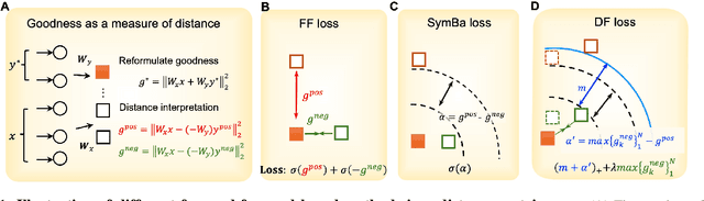 Figure 1 for Distance-Forward Learning: Enhancing the Forward-Forward Algorithm Towards High-Performance On-Chip Learning