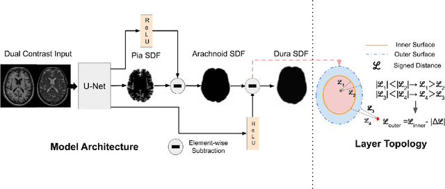 Figure 1 for Rapid Brain Meninges Surface Reconstruction with Layer Topology Guarantee