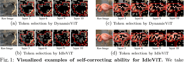 Figure 1 for No Token Left Behind: Efficient Vision Transformer via Dynamic Token Idling