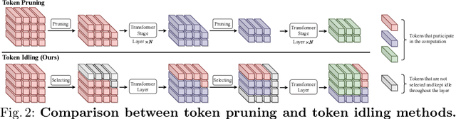 Figure 3 for No Token Left Behind: Efficient Vision Transformer via Dynamic Token Idling