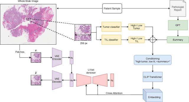 Figure 3 for PathLDM: Text conditioned Latent Diffusion Model for Histopathology