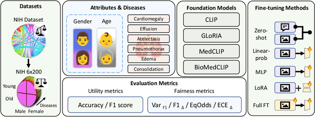 Figure 1 for Fairness Analysis of CLIP-Based Foundation Models for X-Ray Image Classification