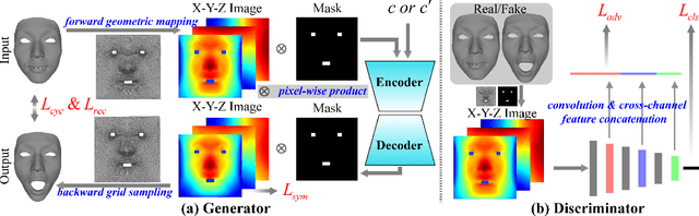 Figure 3 for Unpaired Multi-domain Attribute Translation of 3D Facial Shapes with a Square and Symmetric Geometric Map