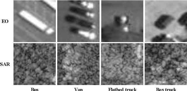 Figure 1 for PBVS 2024 Solution: Self-Supervised Learning and Sampling Strategies for SAR Classification in Extreme Long-Tail Distribution