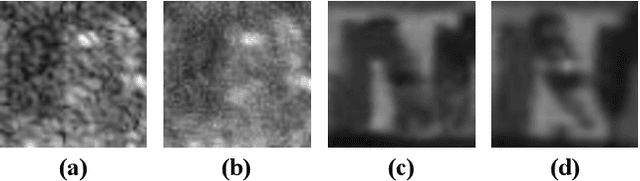 Figure 4 for PBVS 2024 Solution: Self-Supervised Learning and Sampling Strategies for SAR Classification in Extreme Long-Tail Distribution