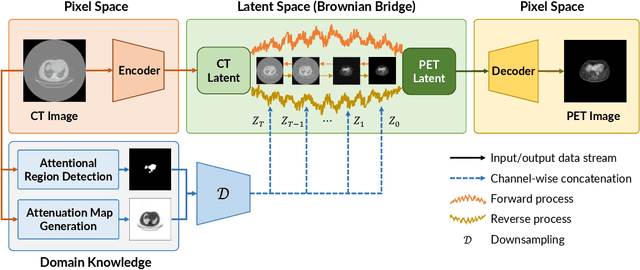 Figure 4 for CT to PET Translation: A Large-scale Dataset and Domain-Knowledge-Guided Diffusion Approach