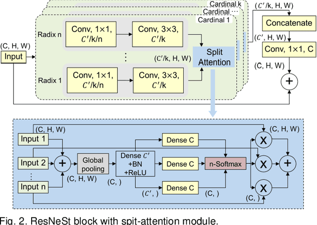 Figure 2 for OMSN and FAROS: OCTA Microstructure Segmentation Network and Fully Annotated Retinal OCTA Segmentation Dataset