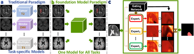 Figure 1 for A Foundation Model for Brain Lesion Segmentation with Mixture of Modality Experts