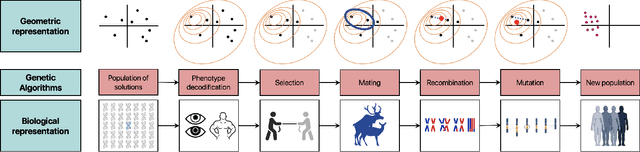Figure 1 for Protein pathways as a catalyst to directed evolution of the topology of artificial neural networks