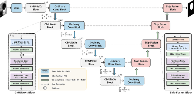 Figure 1 for CMUNeXt: An Efficient Medical Image Segmentation Network based on Large Kernel and Skip Fusion