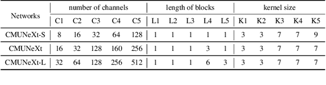 Figure 2 for CMUNeXt: An Efficient Medical Image Segmentation Network based on Large Kernel and Skip Fusion