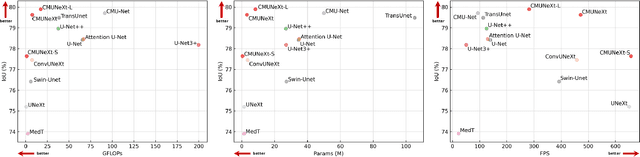 Figure 4 for CMUNeXt: An Efficient Medical Image Segmentation Network based on Large Kernel and Skip Fusion