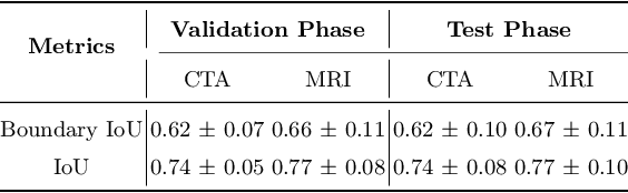 Figure 4 for Topology-Aware Exploration of Circle of Willis for CTA and MRA: Segmentation, Detection, and Classification