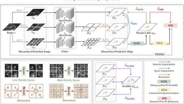 Figure 3 for HELPNet: Hierarchical Perturbations Consistency and Entropy-guided Ensemble for Scribble Supervised Medical Image Segmentation