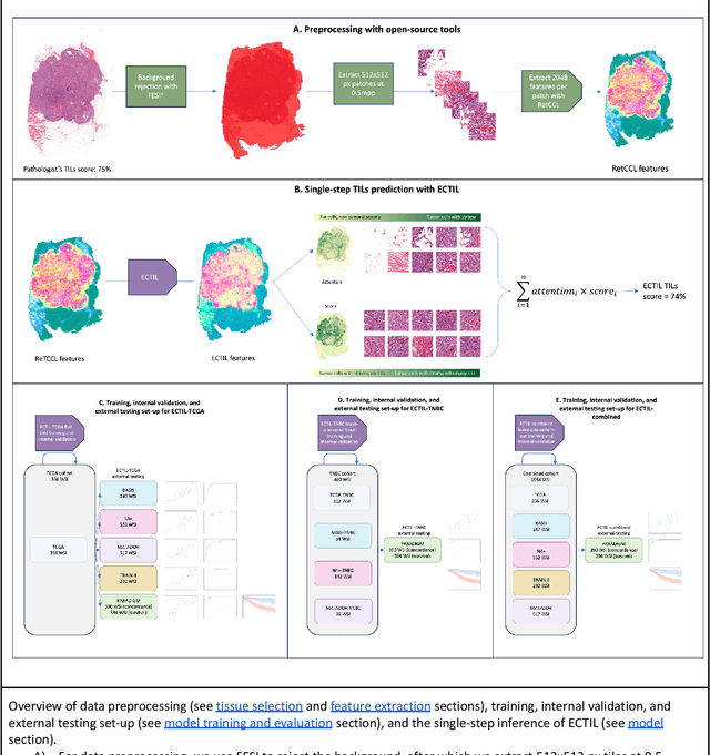 Figure 2 for ECTIL: Label-efficient Computational Tumour Infiltrating Lymphocyte (TIL) assessment in breast cancer: Multicentre validation in 2,340 patients with breast cancer