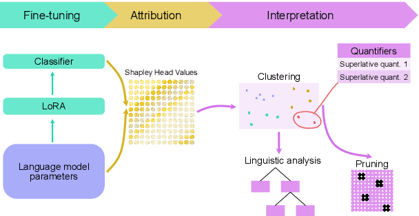 Figure 1 for Linguistically Grounded Analysis of Language Models using Shapley Head Values