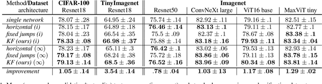 Figure 2 for On Local Overfitting and Forgetting in Deep Neural Networks