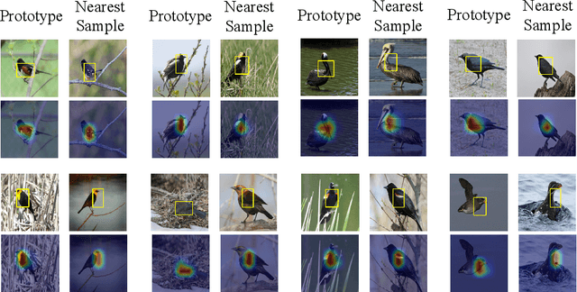 Figure 1 for This Looks Better than That: Better Interpretable Models with ProtoPNeXt