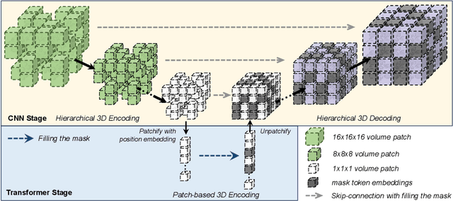 Figure 1 for HySparK: Hybrid Sparse Masking for Large Scale Medical Image Pre-Training