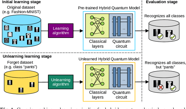 Figure 1 for Machine Unlearning in the Era of Quantum Machine Learning: An Empirical Study