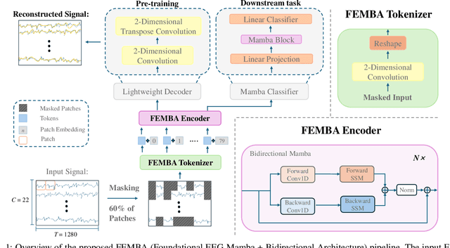 Figure 1 for FEMBA: Efficient and Scalable EEG Analysis with a Bidirectional Mamba Foundation Model