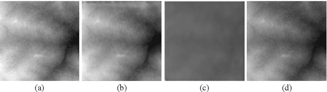 Figure 4 for TerraFusion: Joint Generation of Terrain Geometry and Texture Using Latent Diffusion Models