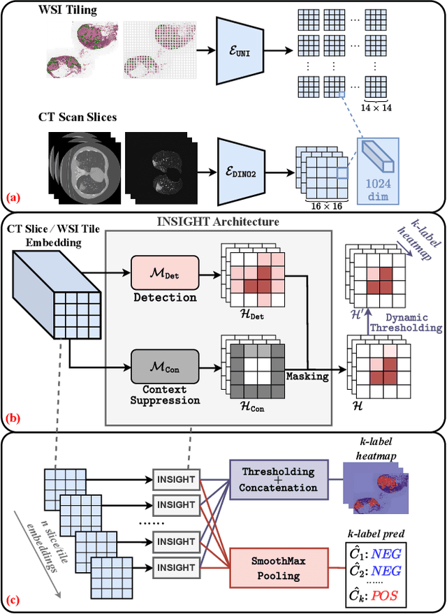 Figure 2 for INSIGHT: Explainable Weakly-Supervised Medical Image Analysis