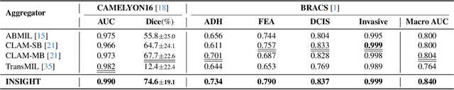 Figure 1 for INSIGHT: Explainable Weakly-Supervised Medical Image Analysis