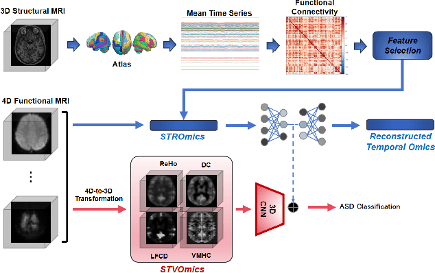 Figure 1 for Efficient 4D fMRI ASD Classification using Spatial-Temporal-Omics-based Learning Framework