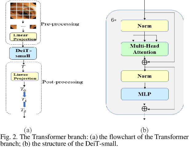 Figure 2 for Cooperation Learning Enhanced Colonic Polyp Segmentation Based on Transformer-CNN Fusion