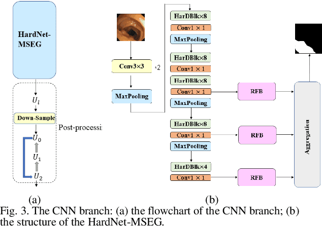 Figure 3 for Cooperation Learning Enhanced Colonic Polyp Segmentation Based on Transformer-CNN Fusion