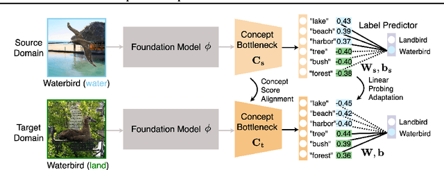 Figure 1 for Adaptive Concept Bottleneck for Foundation Models Under Distribution Shifts