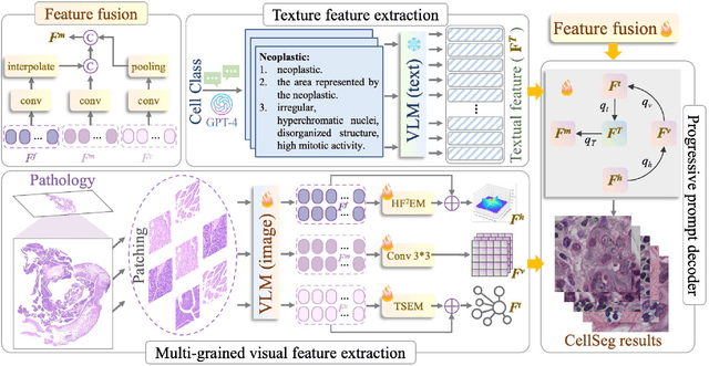 Figure 1 for Progressive Vision-Language Prompt for Multi-Organ Multi-Class Cell Semantic Segmentation with Single Branch