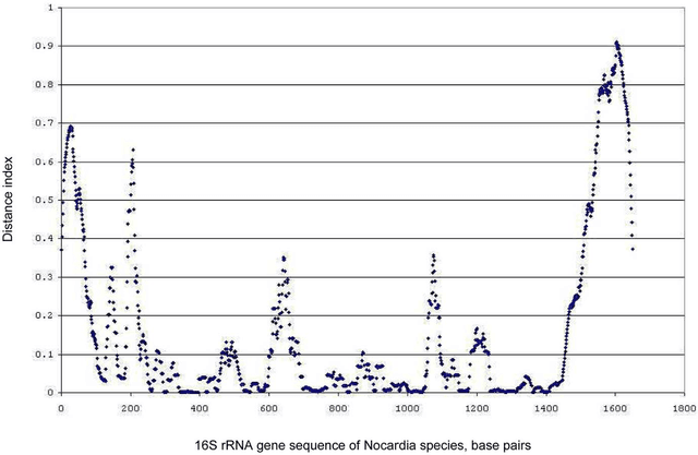 Figure 4 for Defining Reference Sequences for Nocardia Species by Similarity and Clustering Analyses of 16S rRNA Gene Sequence Data