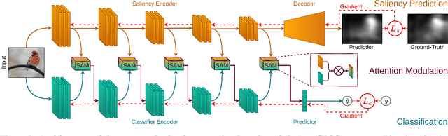 Figure 3 for Selective Attention-based Modulation for Continual Learning