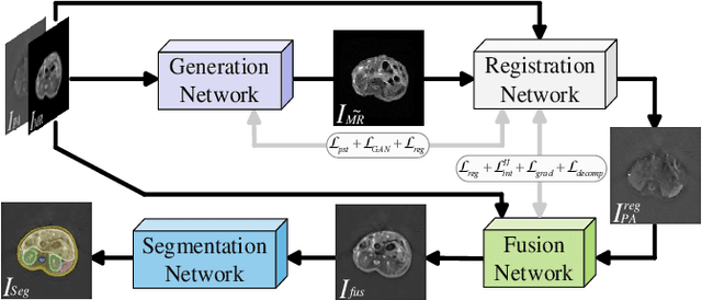 Figure 3 for Performance of Medical Image Fusion in High-level Analysis Tasks: A Mutual Enhancement Framework for Unaligned PAT and MRI Image Fusion