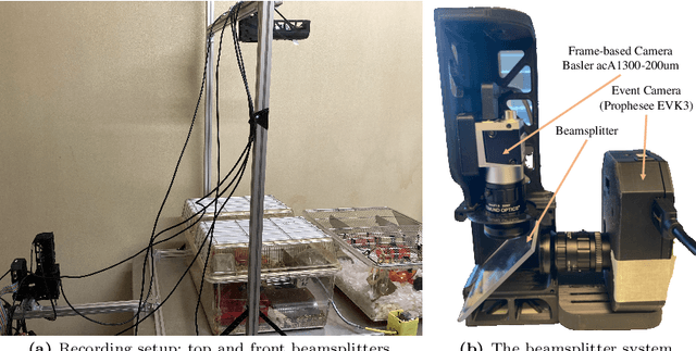 Figure 3 for MouseSIS: A Frames-and-Events Dataset for Space-Time Instance Segmentation of Mice