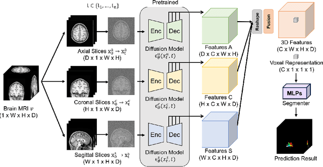 Figure 1 for Label-Efficient 3D Brain Segmentation via Complementary 2D Diffusion Models with Orthogonal Views