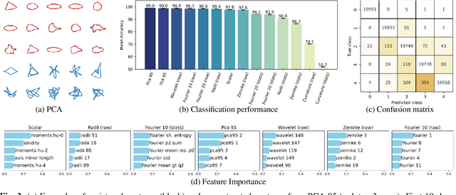 Figure 3 for Automated Classification of Cell Shapes: A Comparative Evaluation of Shape Descriptors