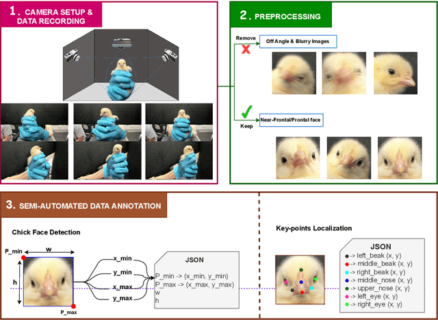 Figure 1 for Facial Chick Sexing: An Automated Chick Sexing System From Chick Facial Image