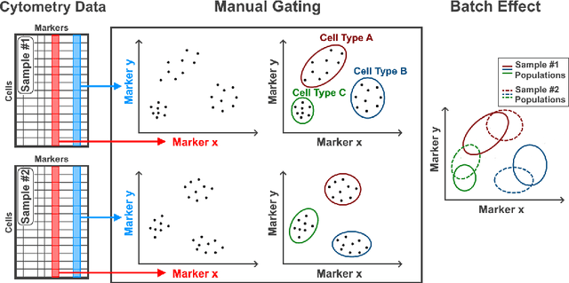 Figure 1 for GateNet: A novel Neural Network Architecture for Automated Flow Cytometry Gating